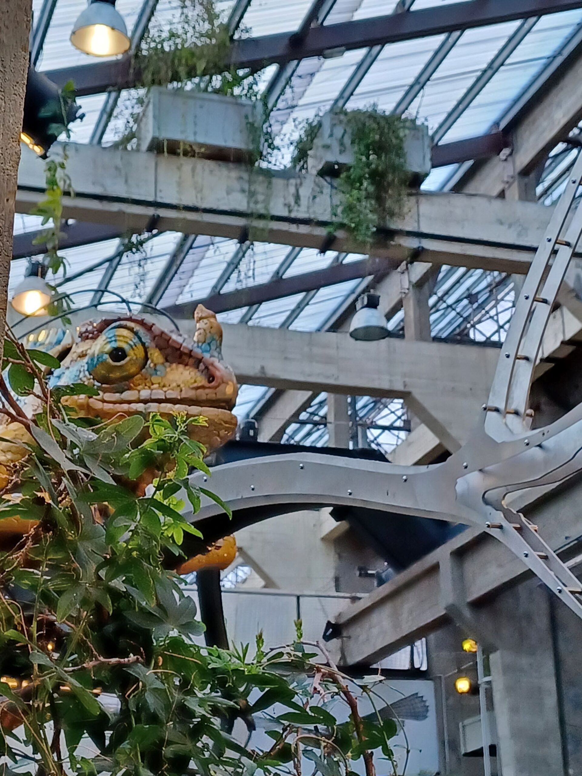20240224_151857 cameleon