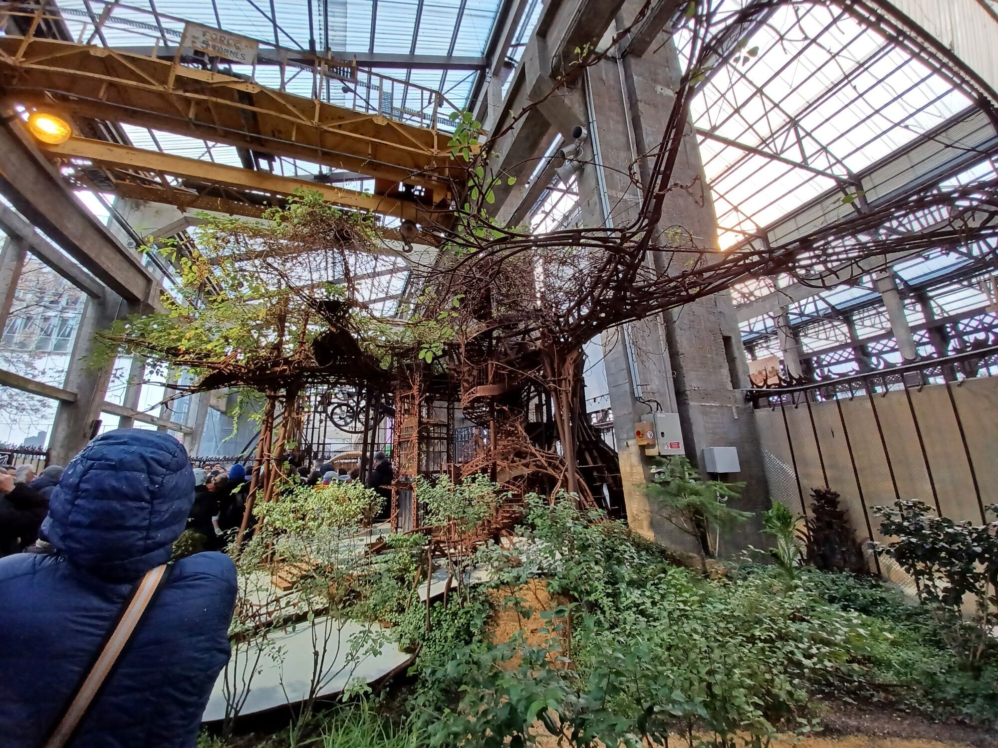 20240224_153146 jardin suspendu