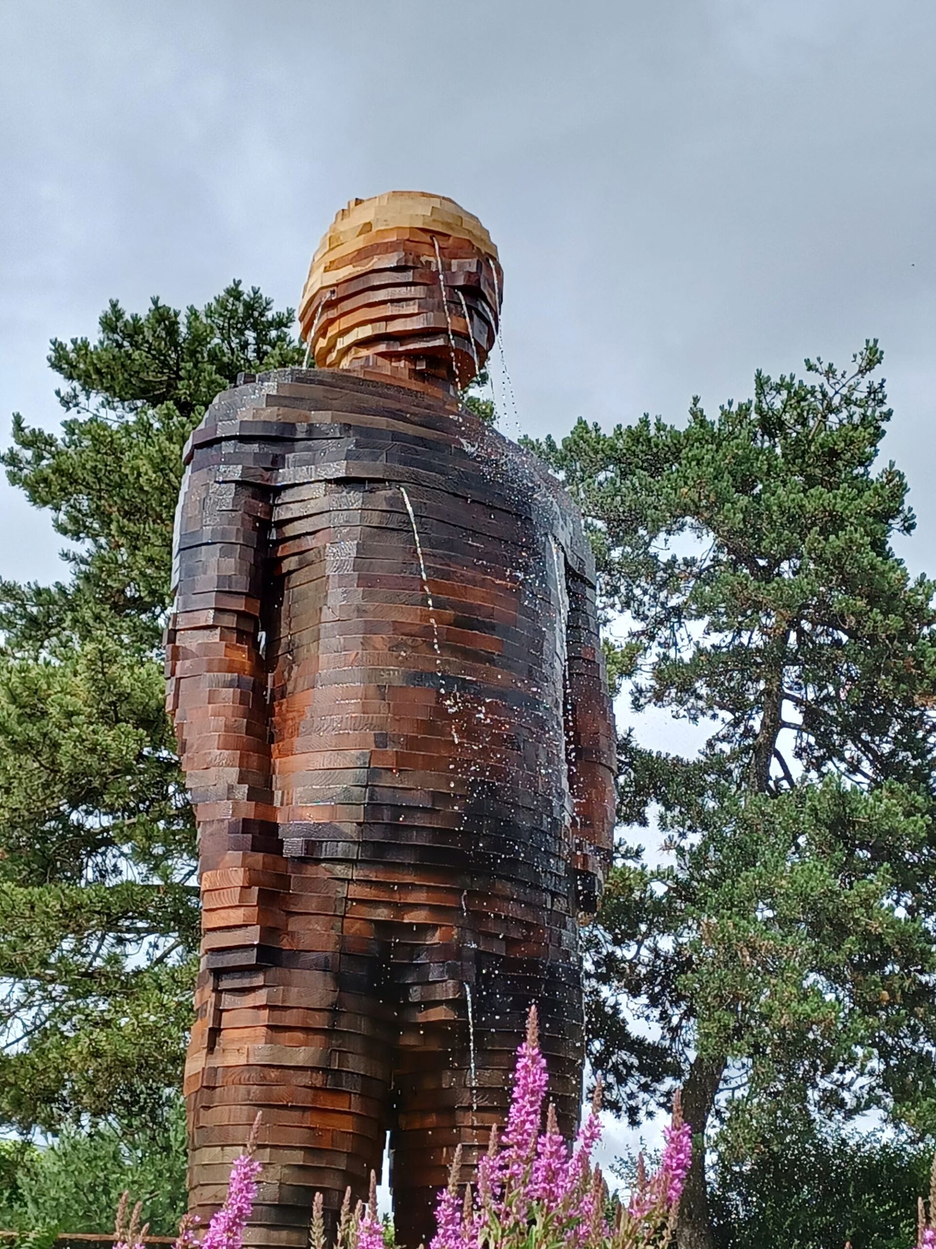 20240709_homme bois